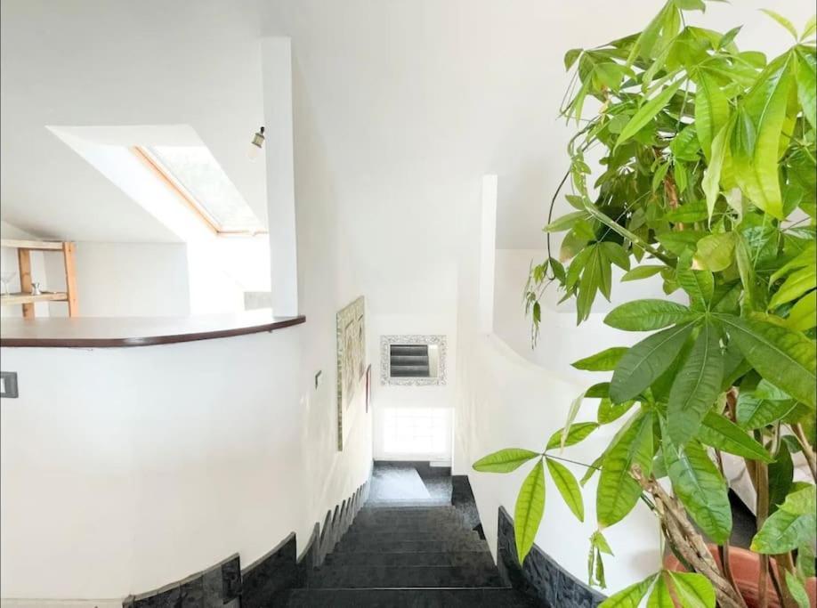 Apartamento Mansarda Vista Mare A Zinola Savona Exterior foto