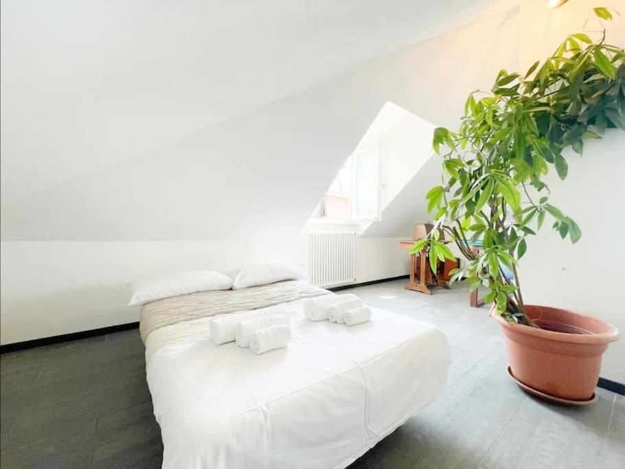 Apartamento Mansarda Vista Mare A Zinola Savona Exterior foto